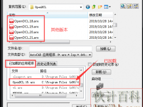 lsp加载odcl对话窗 提示错误no function definition: DCL_PROJECT_LOAD