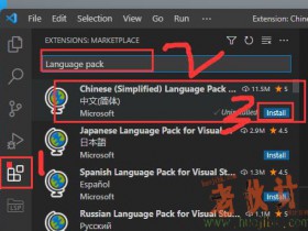 VS Code 如何设置界面语言为中文,VS Code 简体中文版