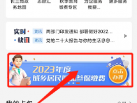安徽如何在线缴社保费,社保卡怎么网上缴费